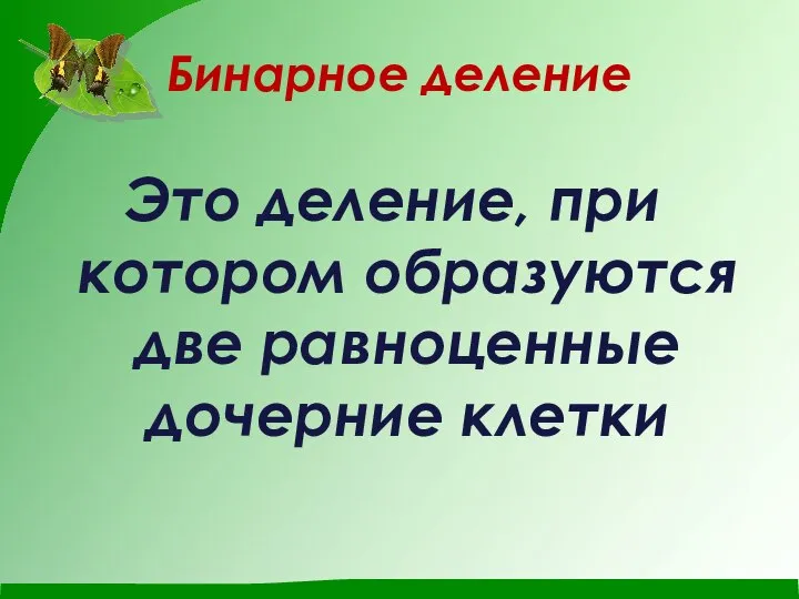 Бинарное деление Это деление, при котором образуются две равноценные дочерние клетки