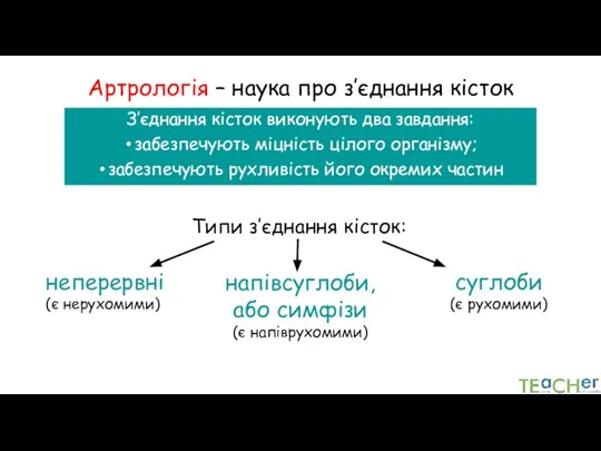 Артрологія – наука про з’єднання кісток З’єднання кісток виконують два завдання: забезпечують