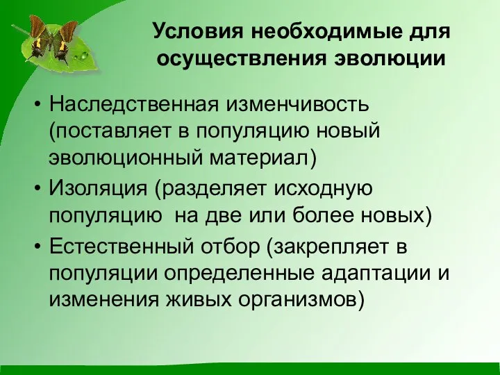 Условия необходимые для осуществления эволюции Наследственная изменчивость (поставляет в популяцию новый эволюционный