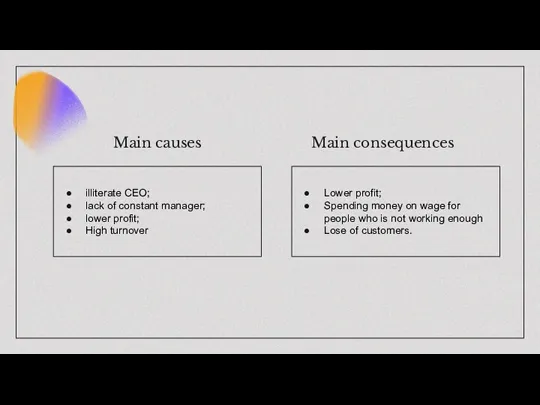 Main causes Main consequences illiterate CEO; lack of constant manager; lower profit;