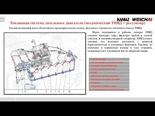 Топливная система дизельного двигателя (механический ТНВД + регулятор) Топливоподающий насос обеспечивает предварительную