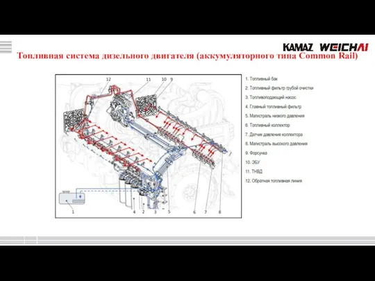 Топливная система дизельного двигателя (аккумуляторного типа Common Rail)