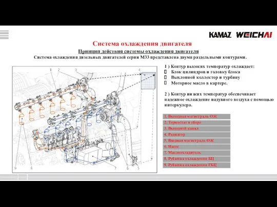 Принцип действия системы охлаждения двигателя Система охлаждения дизельных двигателей серии M33 представлена