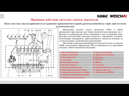 Принцип действия системы смазки двигателя Фильтрация системы смазки двигателей 12M33 и 16M33