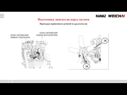 Подготовка двигателя перед пуском Проверка приводных ремней и крыльчатки