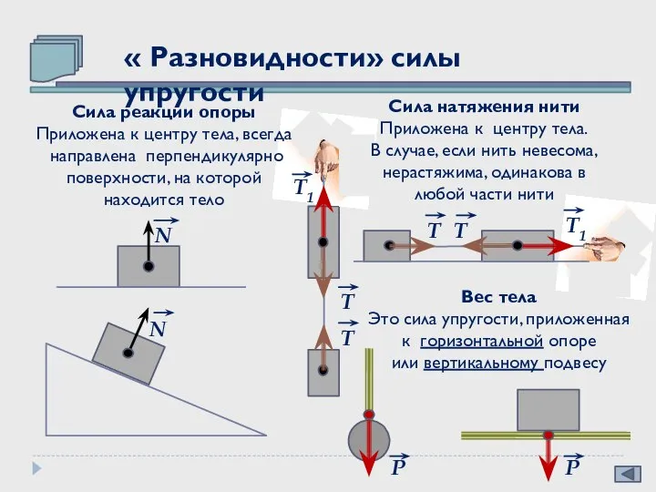 « Разновидности» силы упругости N Т N Т Т1 Сила натяжения нити