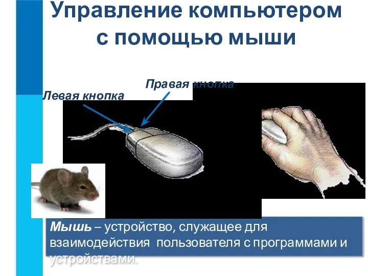 Управление компьютером с помощью мыши Мышь – устройство, служащее для взаимодействия пользователя