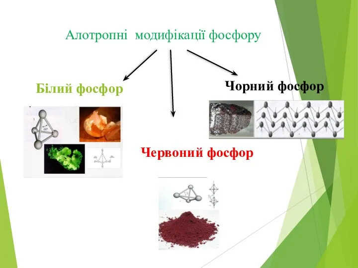 Алотропні модифікації фосфору Білий фосфор Червоний фосфор Чорний фосфор