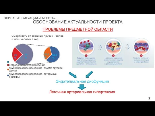 ОПИСАНИЕ СИТУАЦИИ «КАК ЕСТЬ» ОБОСНОВАНИЕ АКТУАЛЬНОСТИ ПРОЕКТА ПРОБЛЕМЫ ПРЕДМЕТНОЙ ОБЛАСТИ Эндотелиальная дисфункция Легочная артериальная гипертензия