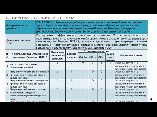 ЦЕЛЬ И УНИКАЛЬНЫЕ РЕЗУЛЬТАТЫ ПРОЕКТА