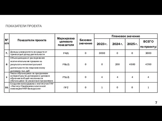 ПОКАЗАТЕЛИ ПРОЕКТА