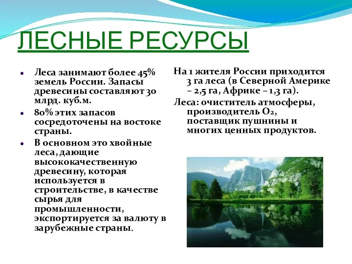 ЛЕСНЫЕ РЕСУРСЫ Леса занимают более 45% земель России. Запасы древесины составляют 30