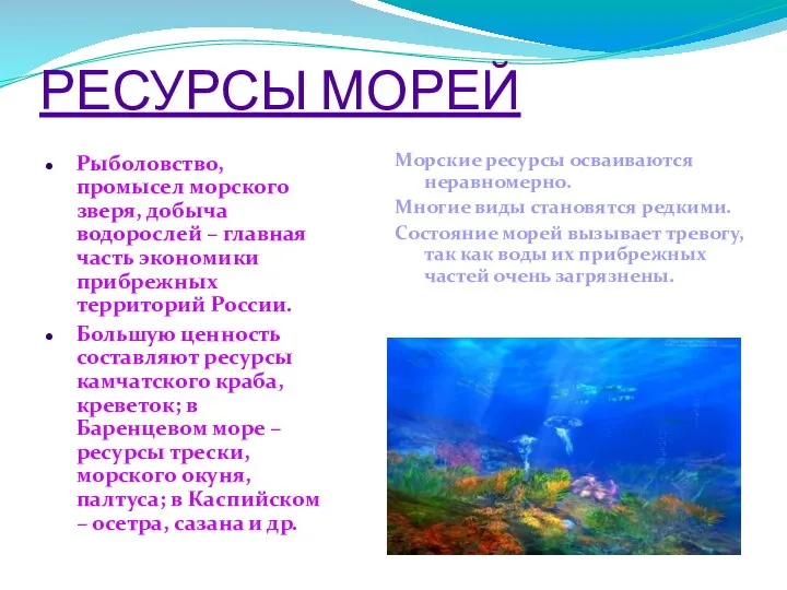 РЕСУРСЫ МОРЕЙ Рыболовство, промысел морского зверя, добыча водорослей – главная часть экономики