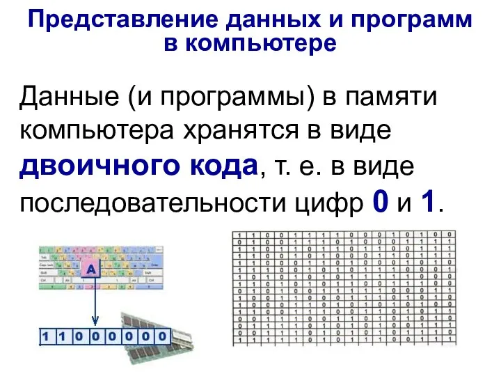 Данные (и программы) в памяти компьютера хранятся в виде двоичного кода, т.