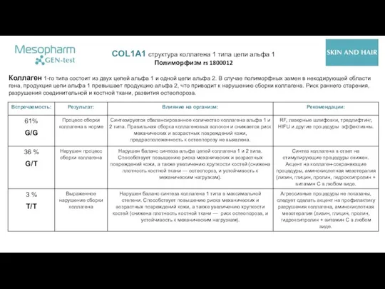 COL1A1 структура коллагена 1 типа цепи альфа 1 Полиморфизм rs 1800012 Коллаген