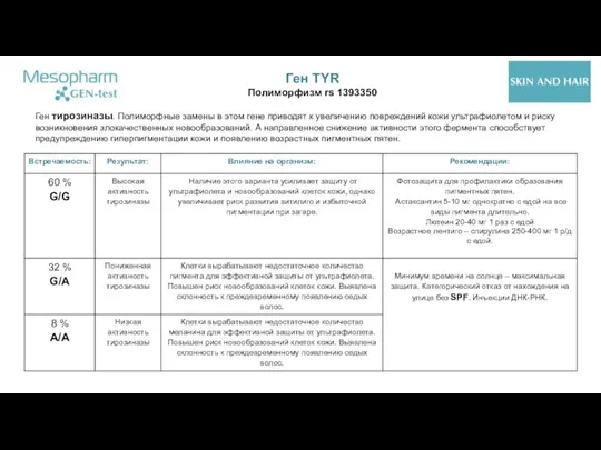 Ген TYR Полиморфизм rs 1393350 Ген тирозиназы. Полиморфные замены в этом гене