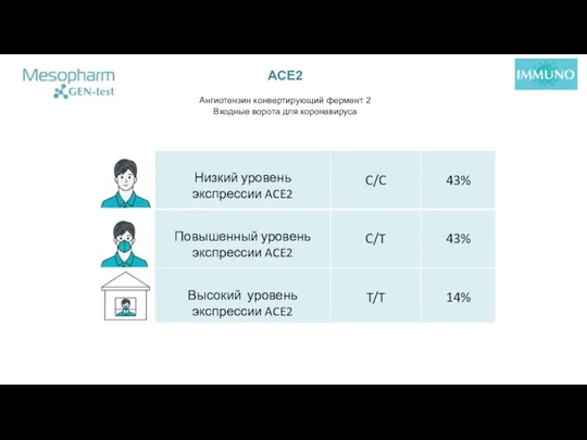 ACE2 Ангиотензин конвертирующий фермент 2 Входные ворота для коронавируса