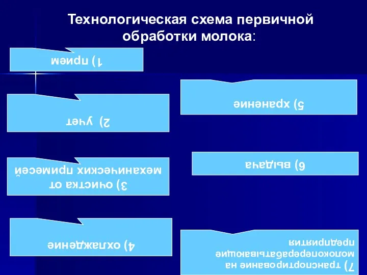 Технологическая схема первичной обработки молока: 1) прием 2) учет 3) очистка от