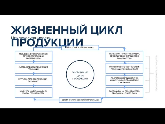 ЖИЗНЕННЫЙ ЦИКЛ ПРОДУКЦИИ Циклическая модель МАРКЕТИНГ И АНАЛИЗ РЫНКА СЕРИЙНОЕ ПРОИЗВОДСТВО ПРОДУКЦИИ