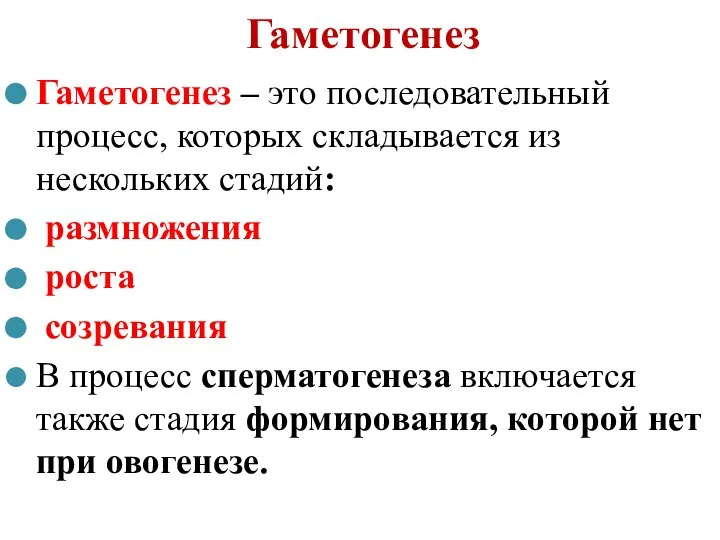 Гаметогенез Гаметогенез – это последовательный процесс, которых складывается из нескольких стадий: размножения