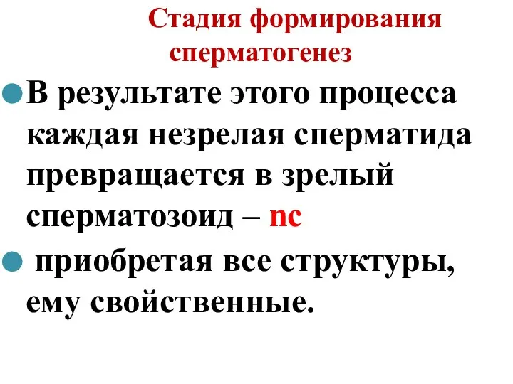 Стадия формирования сперматогенез В результате этого процесса каждая незрелая сперматида превращается в