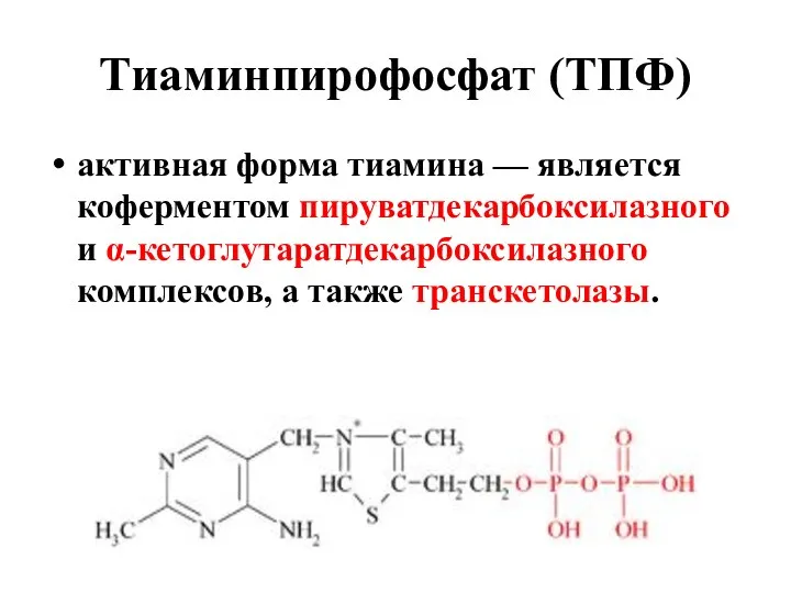 Тиаминпирофосфат (ТПФ) активная форма тиамина — является коферментом пируватдекарбоксилазного и α-кетоглутаратдекарбоксилазного комплексов, а также транскетолазы.