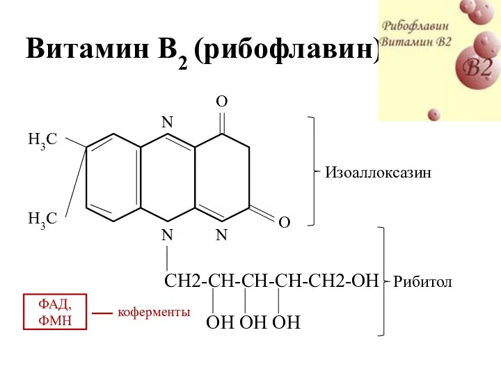 Витамин В2 (рибофлавин) О О N N N H3C H3C CH2-CH-CH-CH-CH2-OH OH