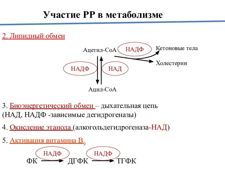 2. Липидный обмен Ацетил-СоА Холестерин Кетоновые тела Ацил-СоА 3. Биоэнергетический обмен –