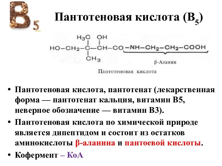 Пантотеновая кислота (В5) Пантотеновая кислота, пантотенат (лекарственная форма — пантотенат кальция, витамин