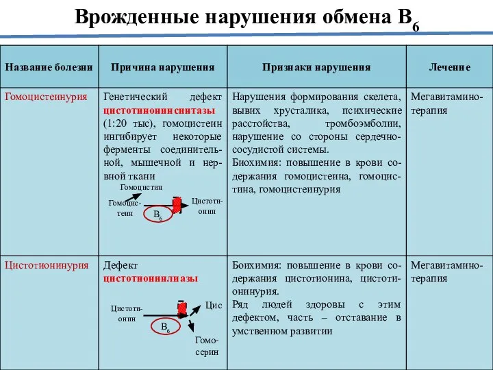 Врожденные нарушения обмена В6 Гомоцис- теин Гомоцистин Цистоти- онин В6