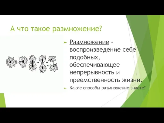 А что такое размножение? Размножение – воспроизведение себе подобных, обеспечивающее непрерывность и