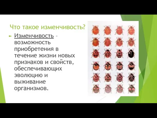 Что такое изменчивость? Изменчивость – возможность приобретения в течение жизни новых признаков