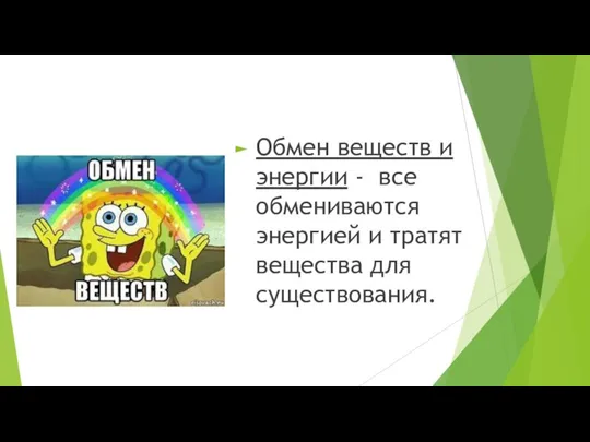 Обмен веществ и энергии - все обмениваются энергией и тратят вещества для существования.