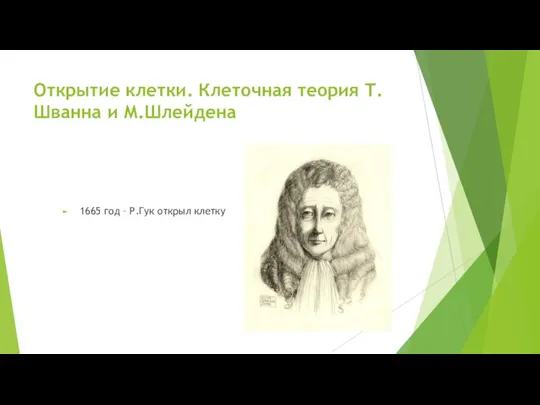 Открытие клетки. Клеточная теория Т.Шванна и М.Шлейдена 1665 год – Р.Гук открыл клетку