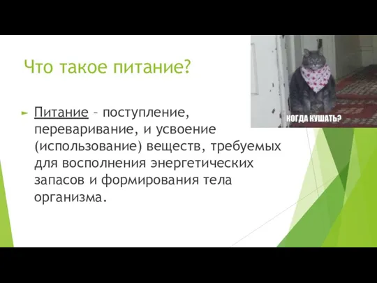 Что такое питание? Питание – поступление, переваривание, и усвоение (использование) веществ, требуемых