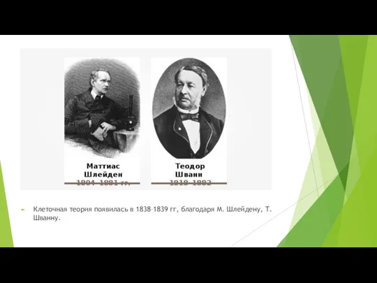 Клеточная теория появилась в 1838–1839 гг, благодаря М. Шлейдену, Т. Шванну.