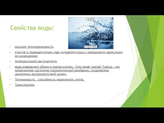 Свойства воды: высокая теплопроводность участие в терморегуляции (при испарении воды с поверхности