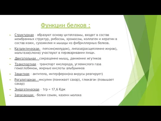 Функции белков : Структурная – образуют основу цитоплазмы, входят в состав мембранных