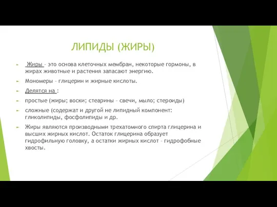 ЛИПИДЫ (ЖИРЫ) Жиры – это основа клеточных мембран, некоторые гормоны, в жирах