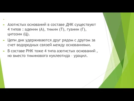 Азотистых оснований в составе ДНК существуют 4 типов : аденин (А), тимин