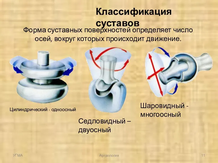 Классификация суставов Форма суставных поверхностей определяет число осей, вокруг которых происходит движение.