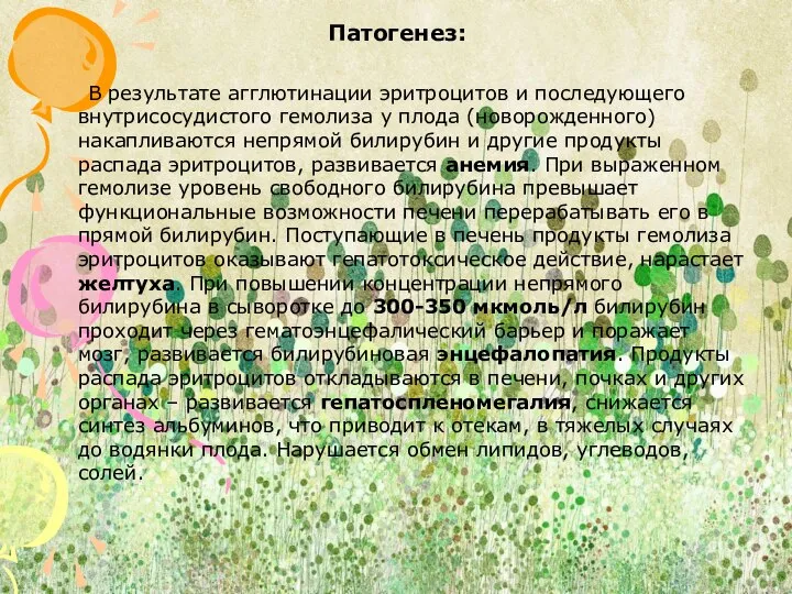 Патогенез: В результате агглютинации эритроцитов и последующего внутрисосудистого гемолиза у плода (новорожденного)