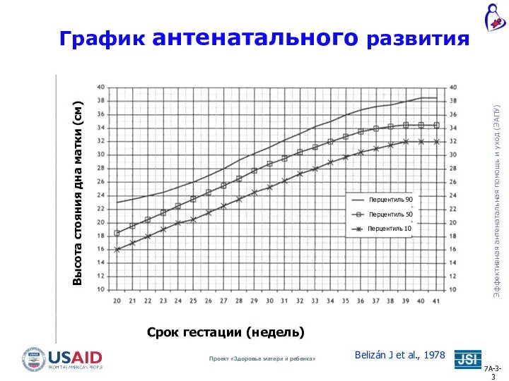 Перцентиль 90 Перцентиль 50 Перцентиль 10 График антенатального развития Belizán J et