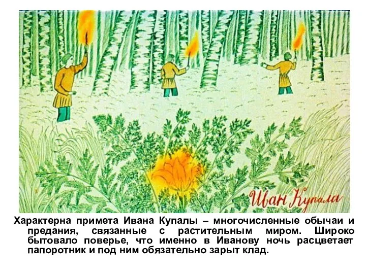 Характерна примета Ивана Купалы – многочисленные обычаи и предания, связанные с растительным