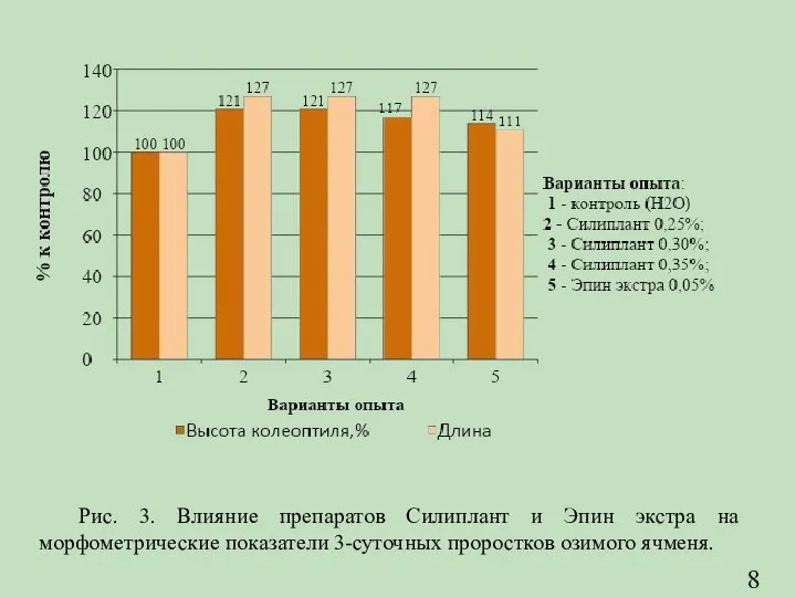 Рис. 3. Влияние препаратов Силиплант и Эпин экстра на морфометрические показатели 3-суточных проростков озимого ячменя. 8