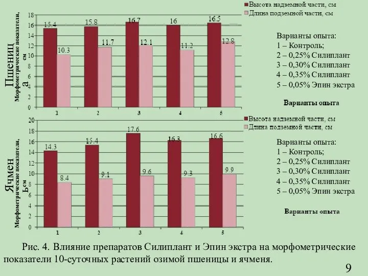 Варианты опыта: 1 – Контроль; 2 – 0,25% Силиплант 3 – 0,30%