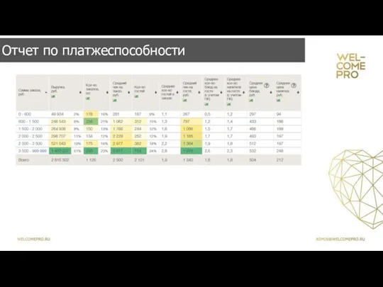 Отчет по платжеспособности