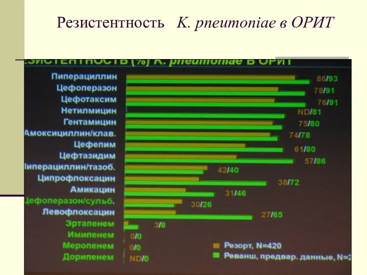 Резистентность K. pneumoniae в ОРИТ