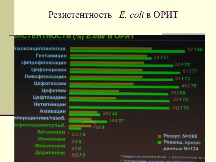 Резистентность E. coli в ОРИТ