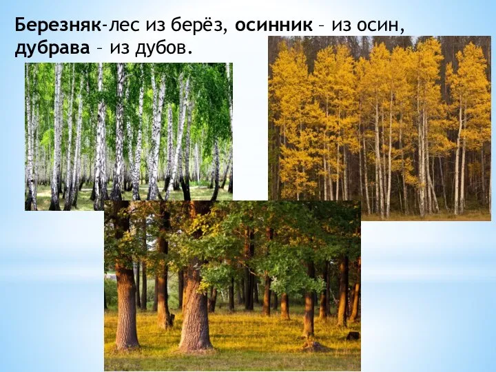 Березняк-лес из берёз, осинник – из осин, дубрава – из дубов.